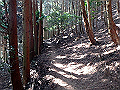 tairyuuji027_thumb.png