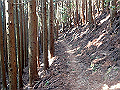 tairyuuji030_thumb.png