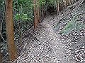 tairyuuji032_thumb.png