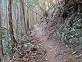 tairyuuji033_thumb.png