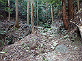 tairyuuji035_thumb.png