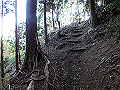 tairyuuji040_thumb.png