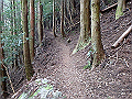 tairyuuji060_thumb.png