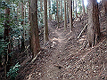 tairyuuji062_thumb.png
