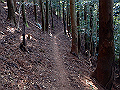 tairyuuji065_thumb.png