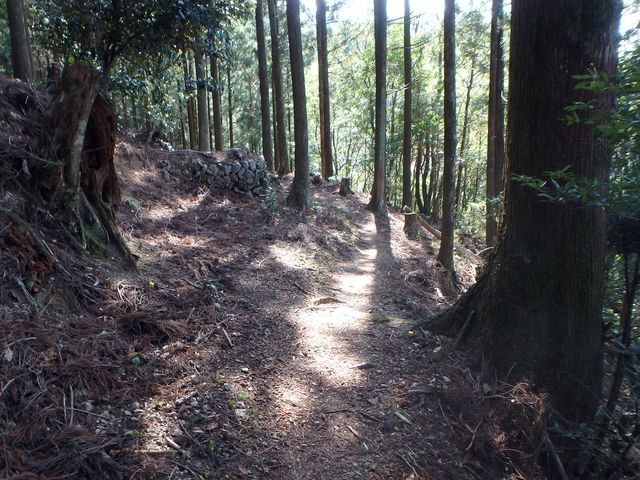 tairyuuji079.jpg