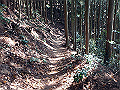 tairyuuji080_thumb.png