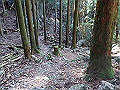 tairyuuji082_thumb.png