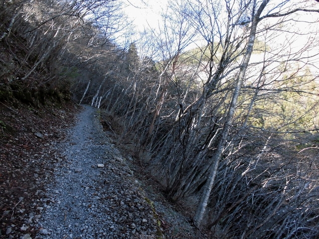 takamaru07.jpg