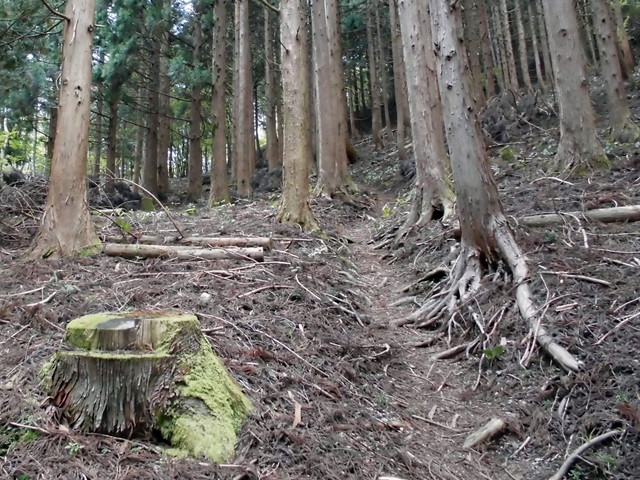 takamaru19.jpg