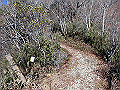 takamaru36_thumb.png