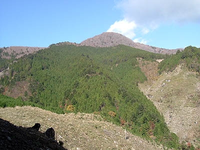 takamaru50.jpg
