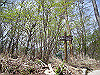 takasiro02_thumb.jpg