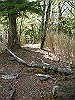 takasiro03_thumb.jpg