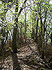 takasiro04_thumb.jpg