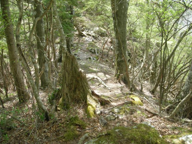 takasiro05.jpg