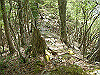 takasiro05_thumb.jpg