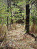 takasiro06_thumb.jpg