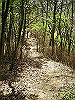 takasiro08_thumb.jpg