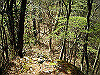takasiro09_thumb.jpg