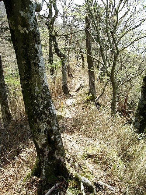 takasiro12.jpg