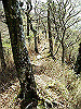 takasiro12_thumb.jpg