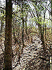 takasiro14_thumb.jpg