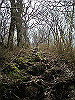 takasiro15_thumb.jpg