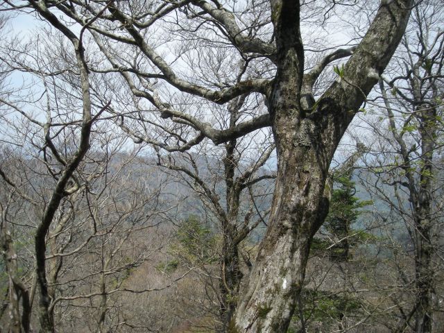 takasiro16.jpg