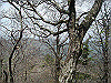 takasiro16_thumb.jpg