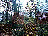 takasiro18_thumb.jpg