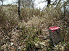 takasiro19_thumb.jpg