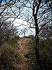 takasiro20_thumb.jpg