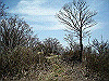 takasiro21_thumb.jpg