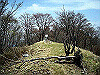 takasiro22_thumb.jpg