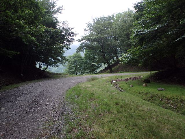 toisi001.jpg