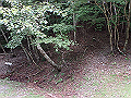 toisi003_thumb.png