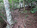 toisi005_thumb.png