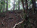 toisi006_thumb.png