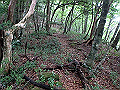 toisi009_thumb.png