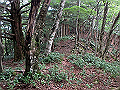 toisi010_thumb.png