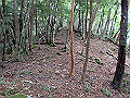 toisi011_thumb.png