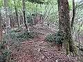 toisi012_thumb.png