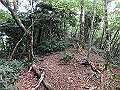 toisi014_thumb.png