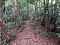 toisi016_thumb.png