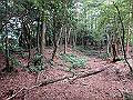 toisi018_thumb.png