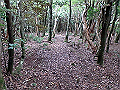 toisi021_thumb.png