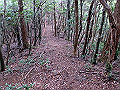 toisi022_thumb.png
