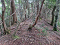 toisi023_thumb.png