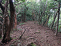 toisi026_thumb.png